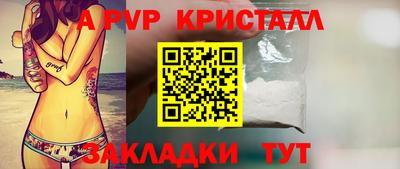 СК Кингисепп
