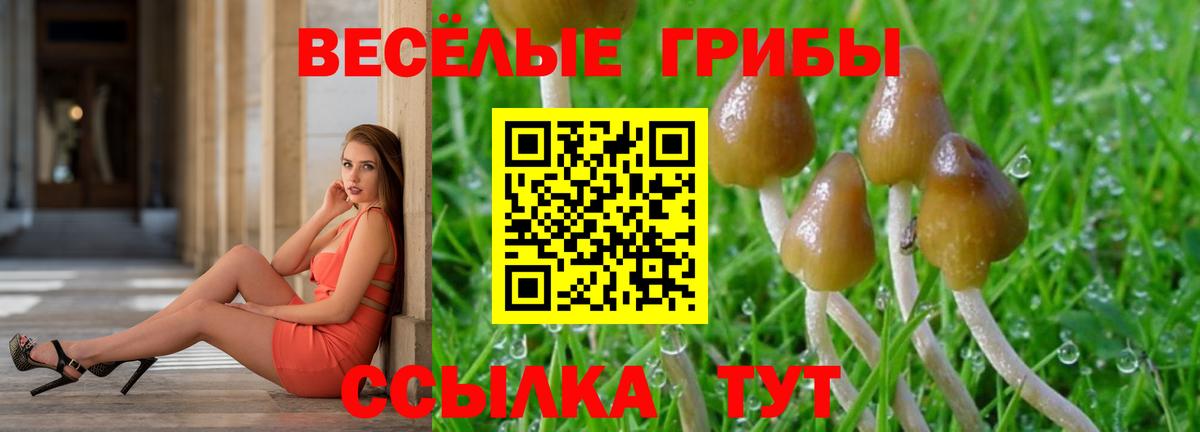 Псилоцибиновые грибы Psilocybe  Вход с VPN  где купить наркоту  Галлюциногенные грибы мухоморы  Лесозаводск 